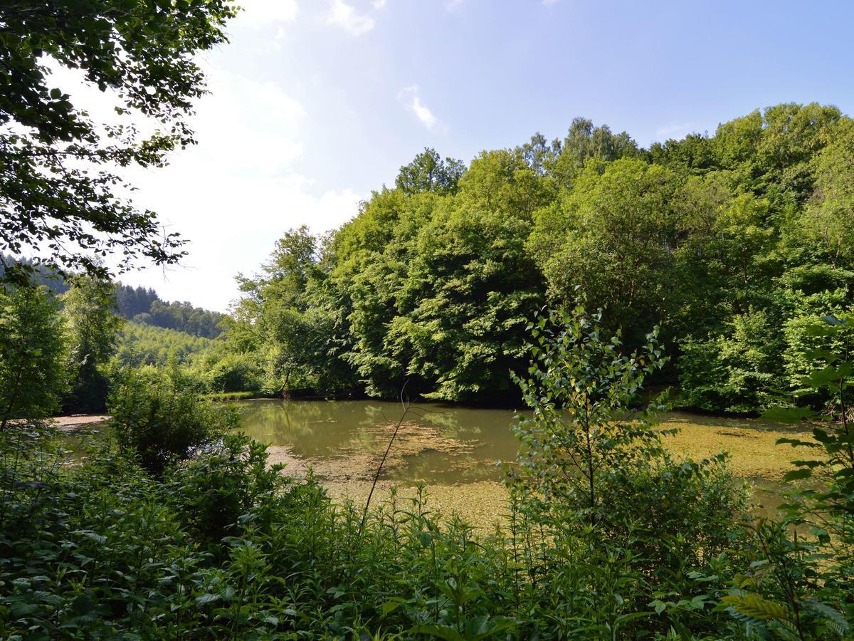 Detached Chalet In Lovely Hiking Region Bellevaux Exterior foto